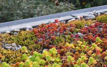 the cost of Glensanda green roof installation