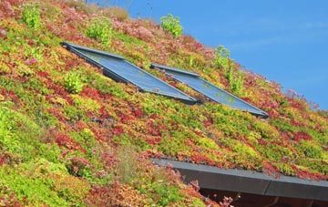 Glensanda living roof systems